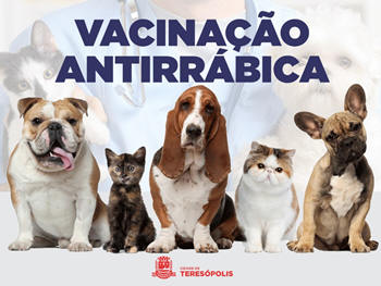 Vacinação antirrábica gratuita em teresópolis - Imagem: Divulgação